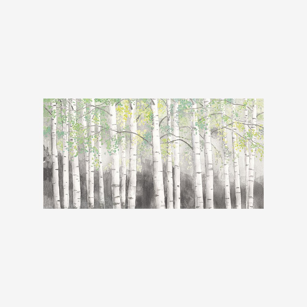 Soft Birches Charcoal