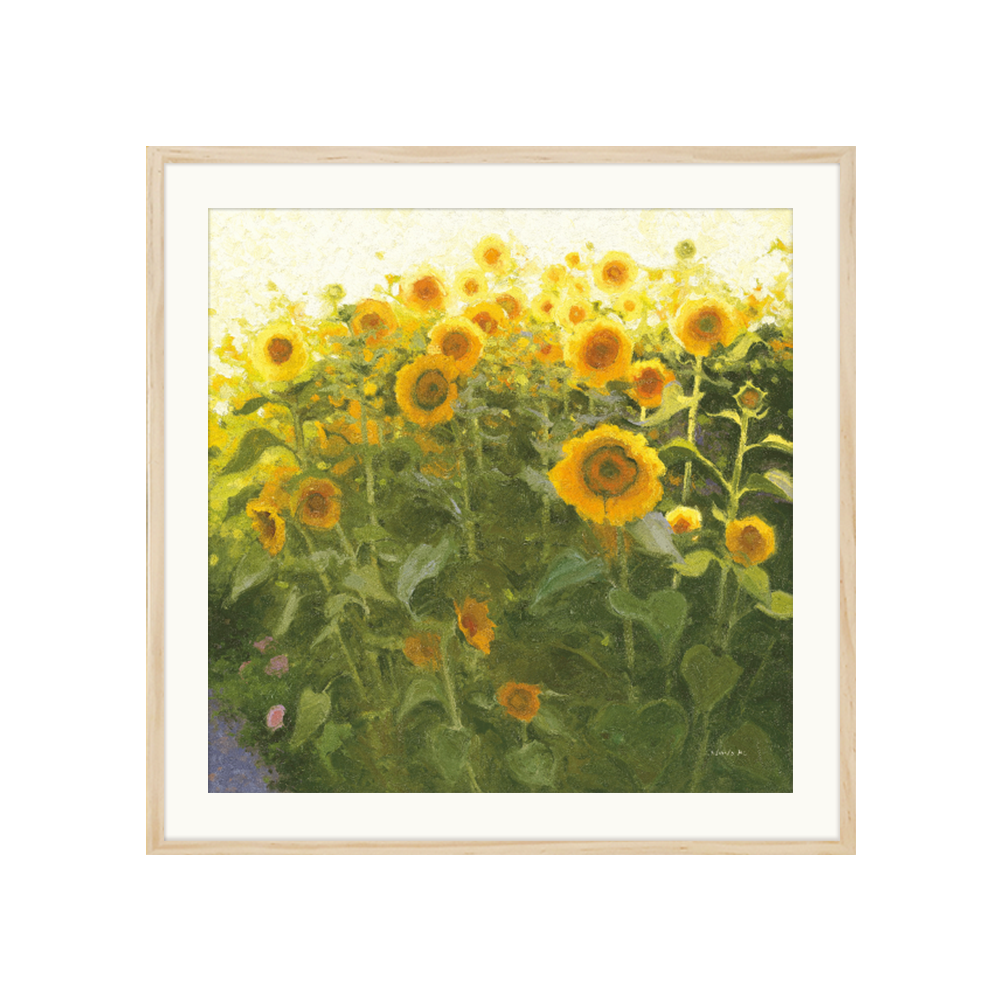 [액자포함] Sunflower Field
