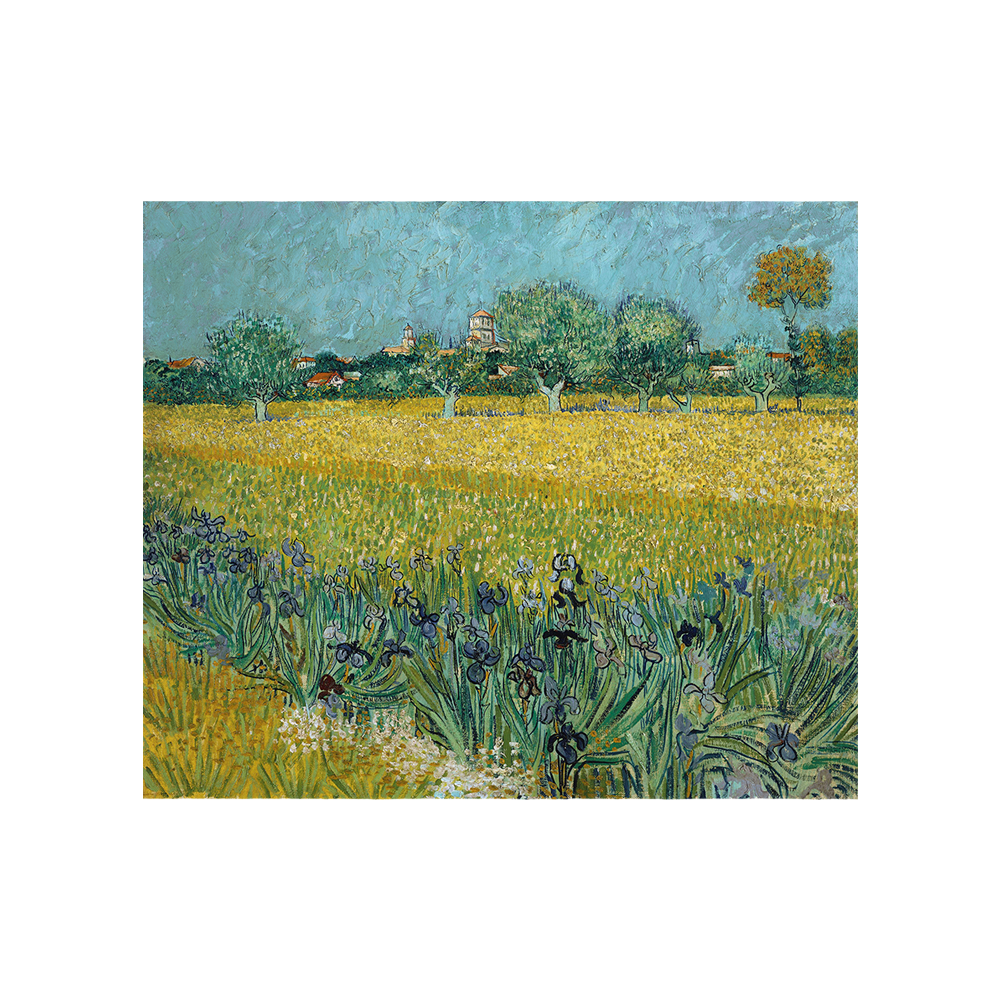 Field with Flowers near Arles